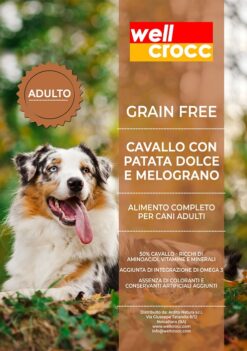 Wellcrocc Cane Medium Adult Grain Free Cavallo Patata Dolce Melograno Kg2