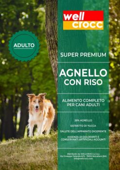 Wellcrocc Cane Medium Adult Super Premium Agnello Riso Kg2