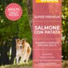 Wellcrocc Cane Small Adult Super Premium Salmone Patata Kg2