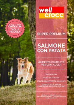 Wellcrocc Cane Small Adult Super Premium Salmone Patata Kg2