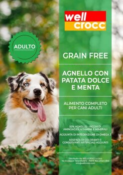 Wellcrocc Cane Medium Adult Grain Free Agnello Patata Dolce Menta Kg12