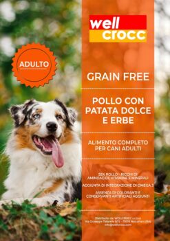 Wellcrocc Cane Medium Adult Grain Free Pollo Patata Dolce Erbe Kg2