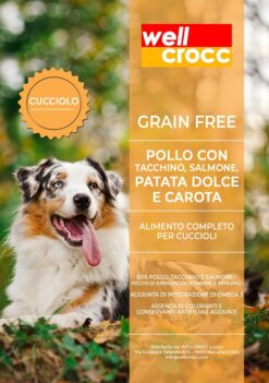 Wellcrocc Medium Puppy Grain Free Pollo Tacchino Salmone Patata Dolce Carota Kg2