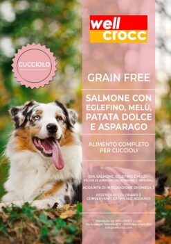 Wellcrocc Medium Puppy Grain Free Salmone Eglefino Melù Pat Dol Asparago Kg12