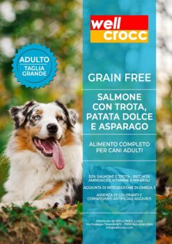 Wellcrocc Cane Maxi Adult Grain Free Salmone Trota Patata Dolce Asparago Kg12