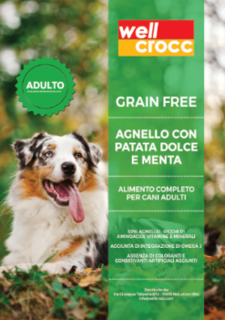 Wellcrocc Cane Medium Adult Grain Free Agnello Patata Dolce Menta Kg6