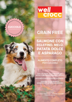 Wellcrocc Medium Puppy Grain Free Salmone Eglefino Melù Pat Dol Asparago Kg6