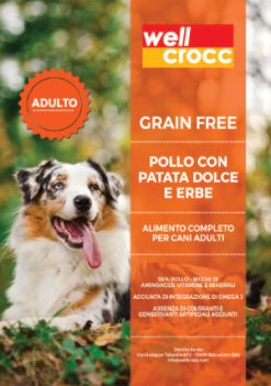 Wellcrocc Cane Medium Adult Grain Free Pollo Patata Dolce Erbe Kg6