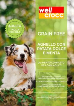 Wellcrocc Cane Small Adult Grain Free Agnello Patata Dolce Menta Kg6