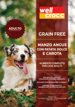 Wellcrocc Cane Medium Adult Grain Free Manzo Angus Patata Dolce Carota Kg6