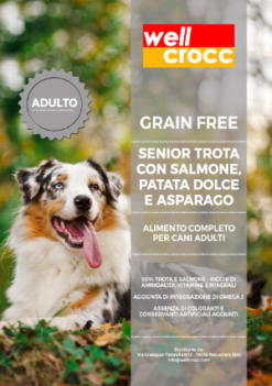 Wellcrocc Cane Medium Senior Grain Free Trota Salmone Patata Dolce Asparago Kg6