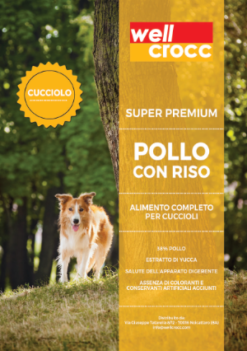 Wellcrocc Super Premium Pollo con Riso Cucciolo Kg 6