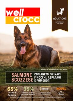 Wellcrocc Cane Medium Adult Superfood Salmone Scozzese Mix Ortaggi Kg2